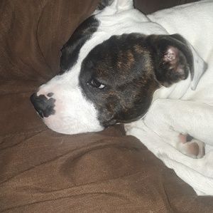 Meet your Posher, Alissa